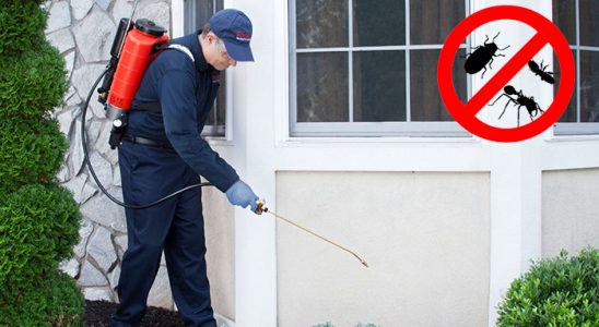 Kemalpaşa Böcek İlaçlama böcek ilaçlama ve haşere kontrolü — ilaclama-tr.com